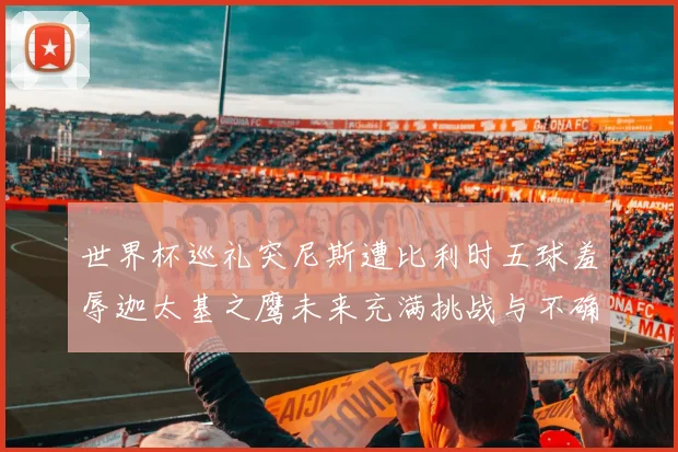 世界杯巡礼突尼斯遭比利时五球羞辱迦太基之鹰未来充满挑战与不确定性